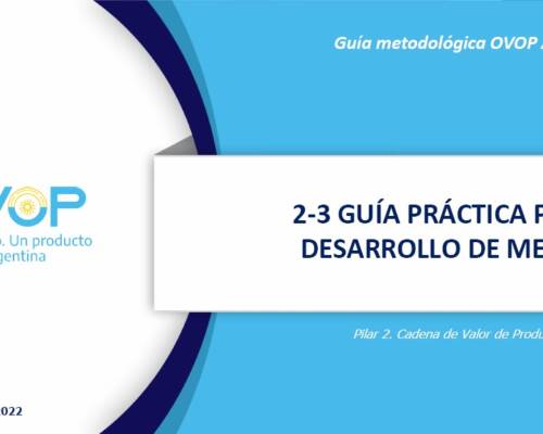2-3 GUÍA PARA DESARROLLO DE MERCADO